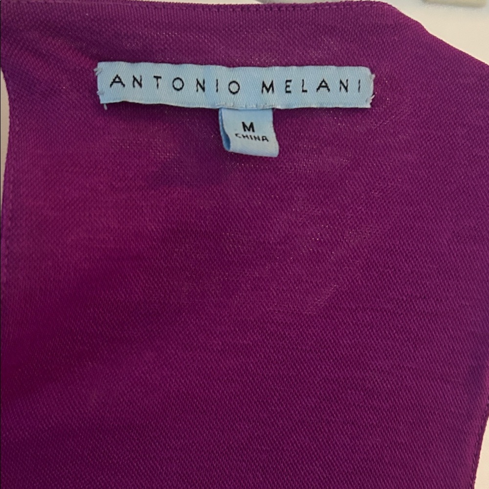 Antonio Melani Vibrant Purple Blouse